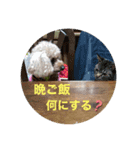あづきぱーと13（個別スタンプ：7）