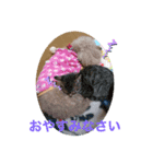 あづきぱーと13（個別スタンプ：8）