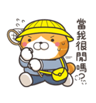 ランラン猫 34 (台湾版)（個別スタンプ：37）