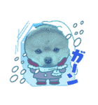 pomeranian kaito2（個別スタンプ：29）