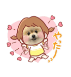 pomeranian kaito2（個別スタンプ：35）