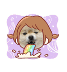 pomeranian kaito2（個別スタンプ：39）