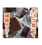 チョコたべる？（個別スタンプ：2）