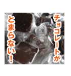 チョコたべる？（個別スタンプ：12）