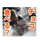 チョコたべる？（個別スタンプ：13）