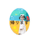 ゆあんぷぷ（個別スタンプ：3）
