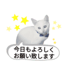 ではさんのスタンプ（よろしく）（個別スタンプ：1）