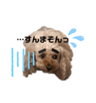 矢作さんちのゆずあんスタンプ（個別スタンプ：6）
