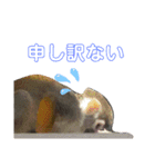 いしかわ動物園 動物スタンプ 2（個別スタンプ：2）