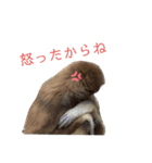 いしかわ動物園 動物スタンプ 2（個別スタンプ：8）