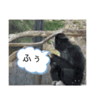 いしかわ動物園 動物スタンプ 2（個別スタンプ：10）