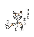 キャットヒューマン(猫人)（個別スタンプ：1）