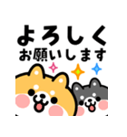 飛び出す！おやじ君と2匹の柴犬（個別スタンプ：11）