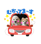 オクまんハムスタンプ（個別スタンプ：1）