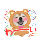 オクまんハムスタンプ（個別スタンプ：5）