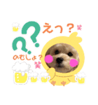 オクまんハムスタンプ（個別スタンプ：17）