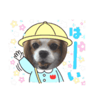 オクまんハムスタンプ（個別スタンプ：19）