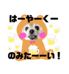オクまんハムスタンプ（個別スタンプ：21）