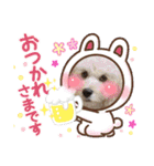 オクまんハムスタンプ（個別スタンプ：22）