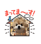 オクまんハムスタンプ（個別スタンプ：23）