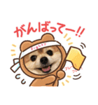 オクまんハムスタンプ（個別スタンプ：24）