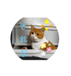 nekoのまーちゃん3（個別スタンプ：18）