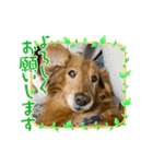 池口レオン（個別スタンプ：5）