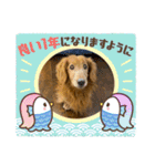 池口レオン（個別スタンプ：14）