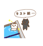 ゆるっと猫swimming（個別スタンプ：12）