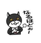 マスク猫の日常会話（個別スタンプ：14）