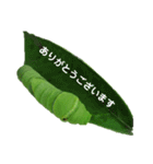 アゲハのいもむし あいさつ 改訂版（個別スタンプ：5）