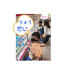 G*4KIDS（個別スタンプ：2）