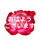 Natural Flowers 2(挨拶、敬語)（個別スタンプ：1）