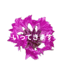 Natural Flowers 2(挨拶、敬語)（個別スタンプ：6）