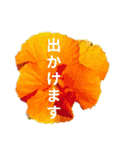 Natural Flowers 2(挨拶、敬語)（個別スタンプ：7）