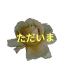 Natural Flowers 2(挨拶、敬語)（個別スタンプ：9）