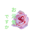 Natural Flowers 2(挨拶、敬語)（個別スタンプ：16）