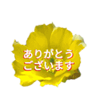 Natural Flowers 2(挨拶、敬語)（個別スタンプ：22）