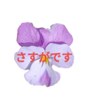 Natural Flowers 2(挨拶、敬語)（個別スタンプ：29）