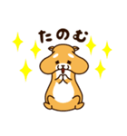 だるだる柴犬（個別スタンプ：13）