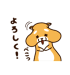 だるだる柴犬 あいさつ編（個別スタンプ：6）