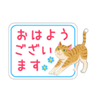 ねこちゃんいっぱいシール風1 日常挨拶（個別スタンプ：1）