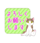 ねこちゃんいっぱいシール風1 日常挨拶（個別スタンプ：3）