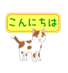 ねこちゃんいっぱいシール風1 日常挨拶（個別スタンプ：9）