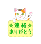 ねこちゃんいっぱいシール風1 日常挨拶（個別スタンプ：12）