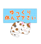 ねこちゃんいっぱいシール風1 日常挨拶（個別スタンプ：13）