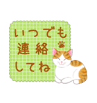 ねこちゃんいっぱいシール風1 日常挨拶（個別スタンプ：16）