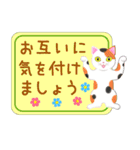 ねこちゃんいっぱいシール風1 日常挨拶（個別スタンプ：20）