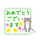 ねこちゃんいっぱいシール風1 日常挨拶（個別スタンプ：30）