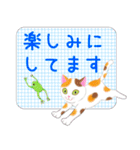 ねこちゃんいっぱいシール風1 日常挨拶（個別スタンプ：35）